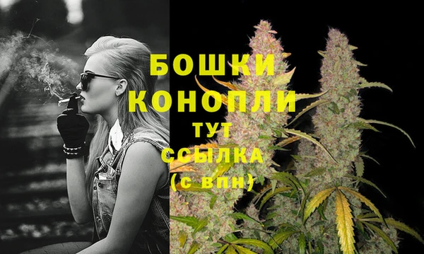 мескалин Осинники