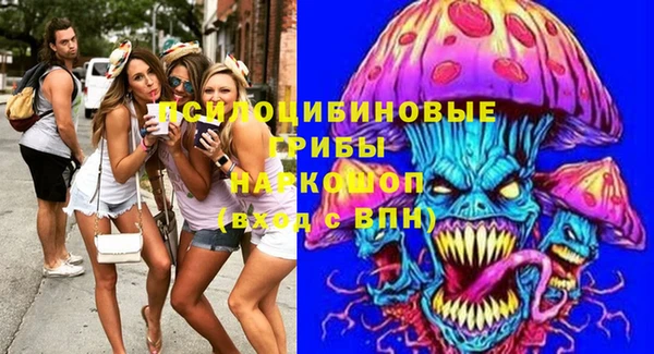 мескалин Осинники